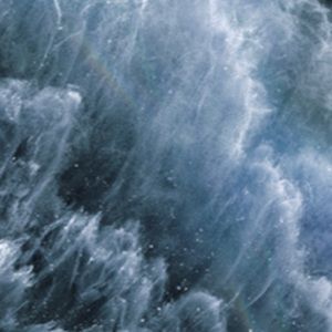 Meet your Posher, Kelis